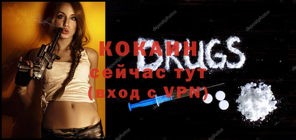 мдпв Елизово