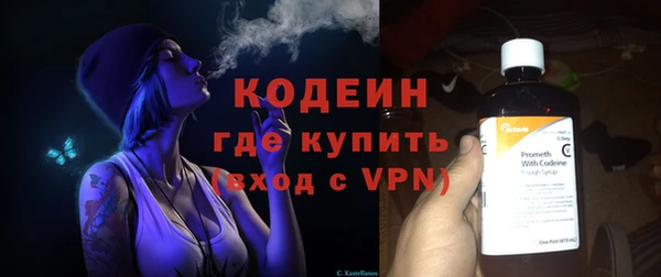 мдпв Елизово