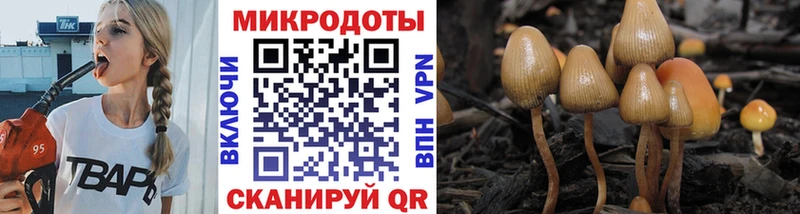 Купить закладки  Калач-на-Дону  Псилоцибиновые грибы Psilocybine cubensis 